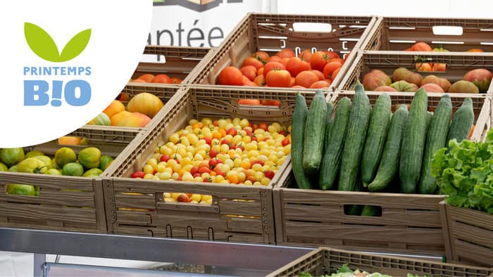 Le marché Bi'O