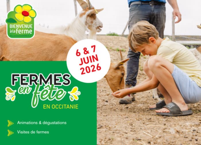 Fermes en Fête - Les moulins de Perrine