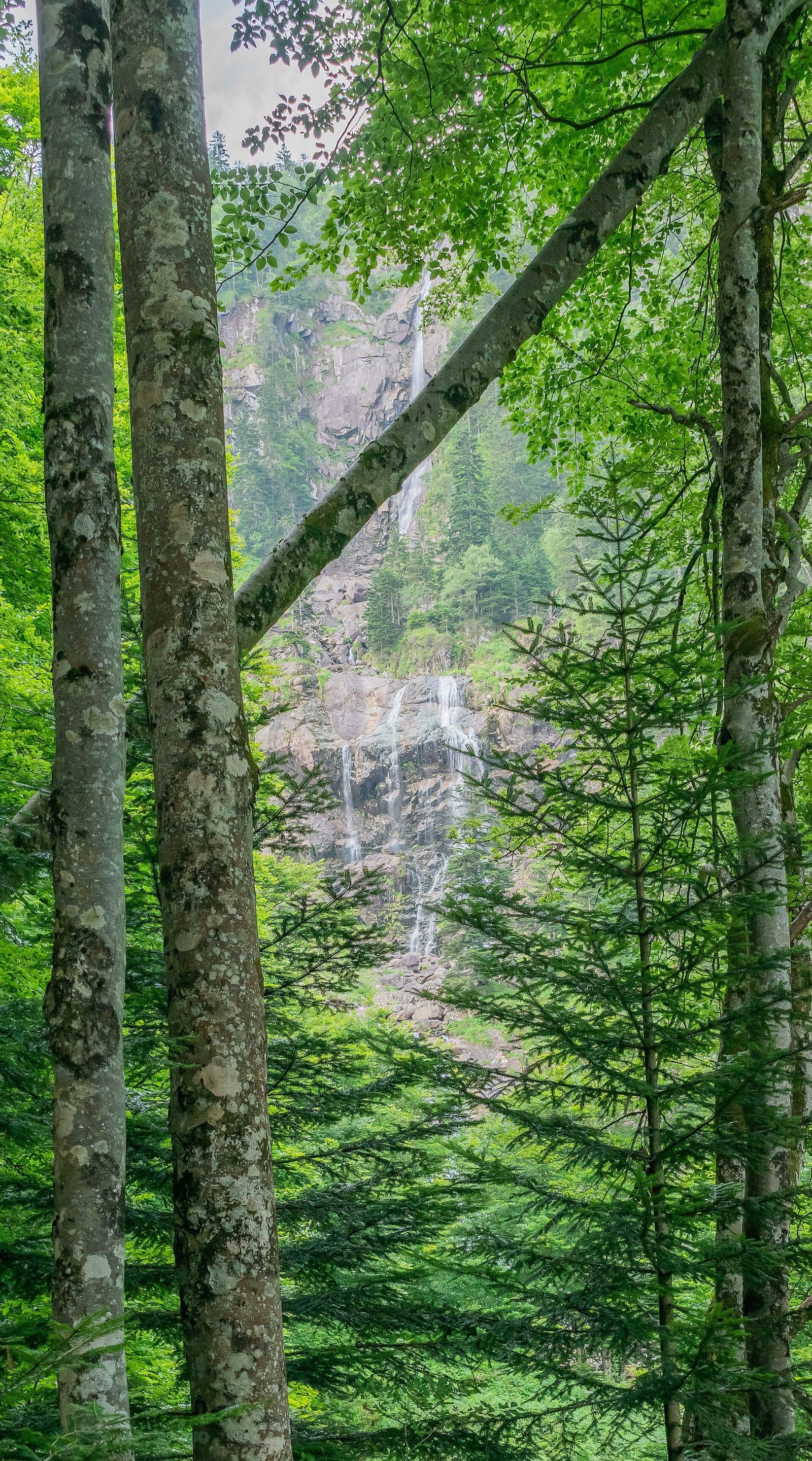 Une cascade aperçue au milieu des arbres