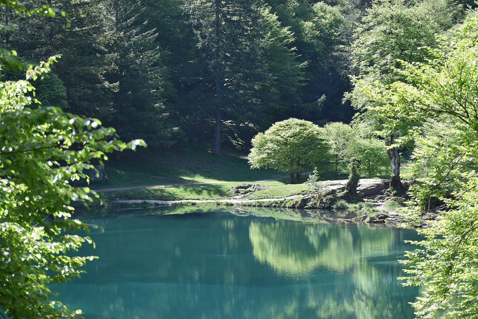 Les eaux du lac de Bethmale et les arbres de sa rive