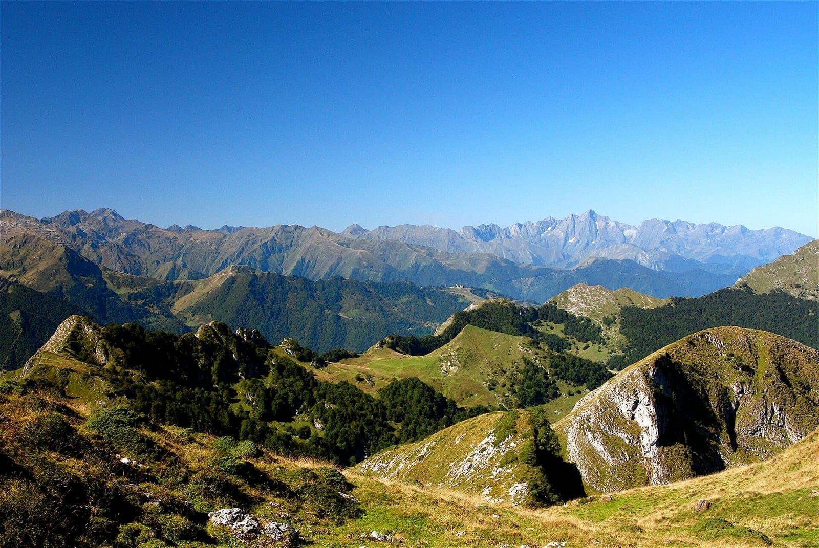 Un panorama de montagnes et de versants boisés en direction du mont Valier