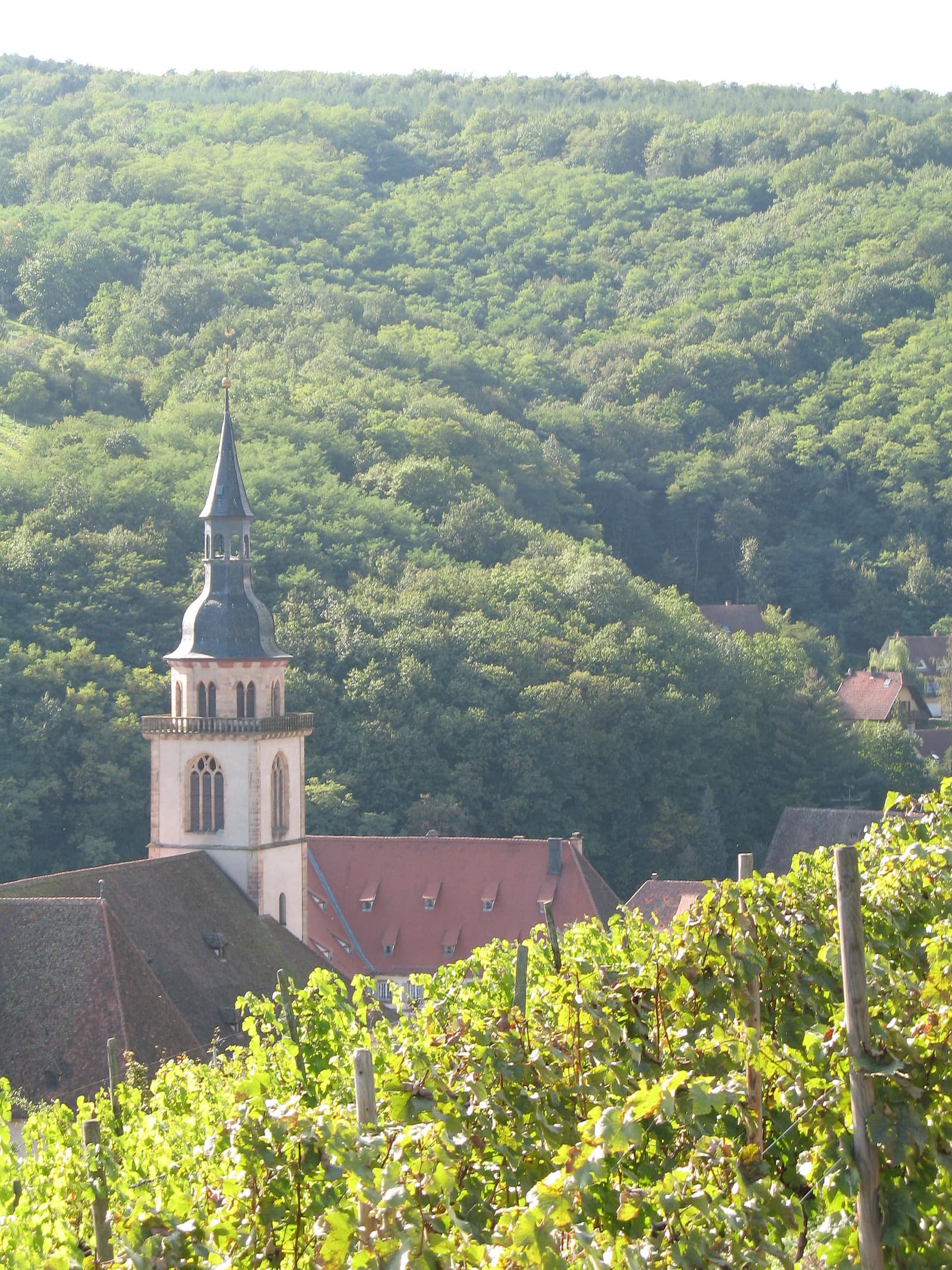 L'abbatiale d'Andlau vue depuis le vignoble
