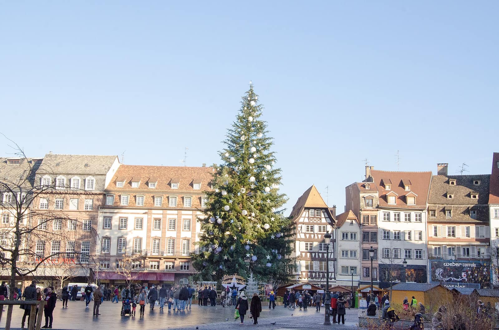 Le grand sapin de Noël de la place Kléber, à Strasbourg