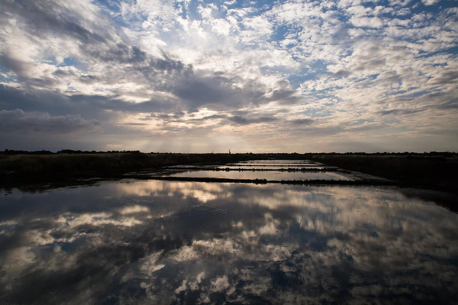 Les marais salants de l'île de Ré au coucher du soleil