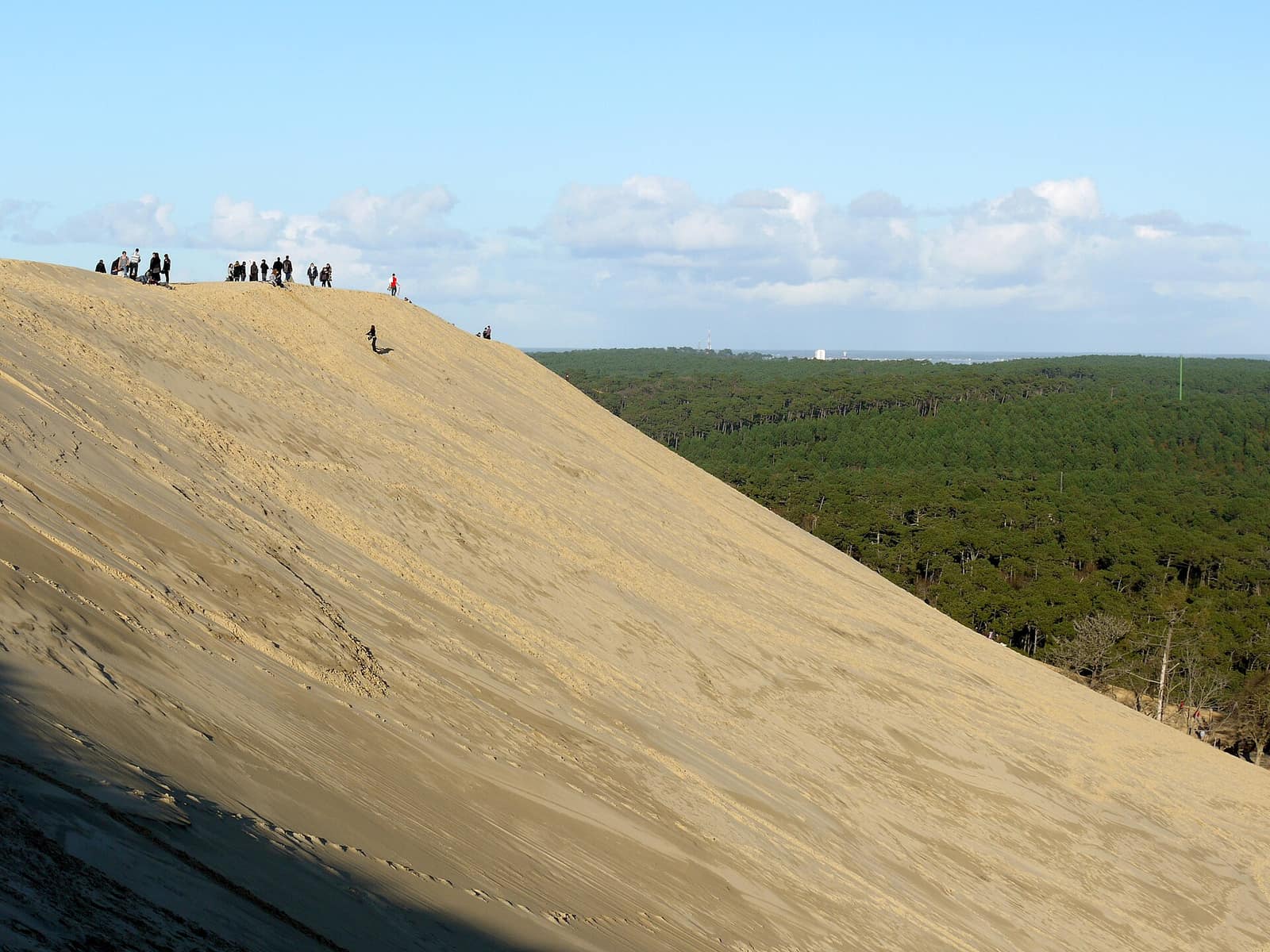 La dune du Pilat et la forêt landaise