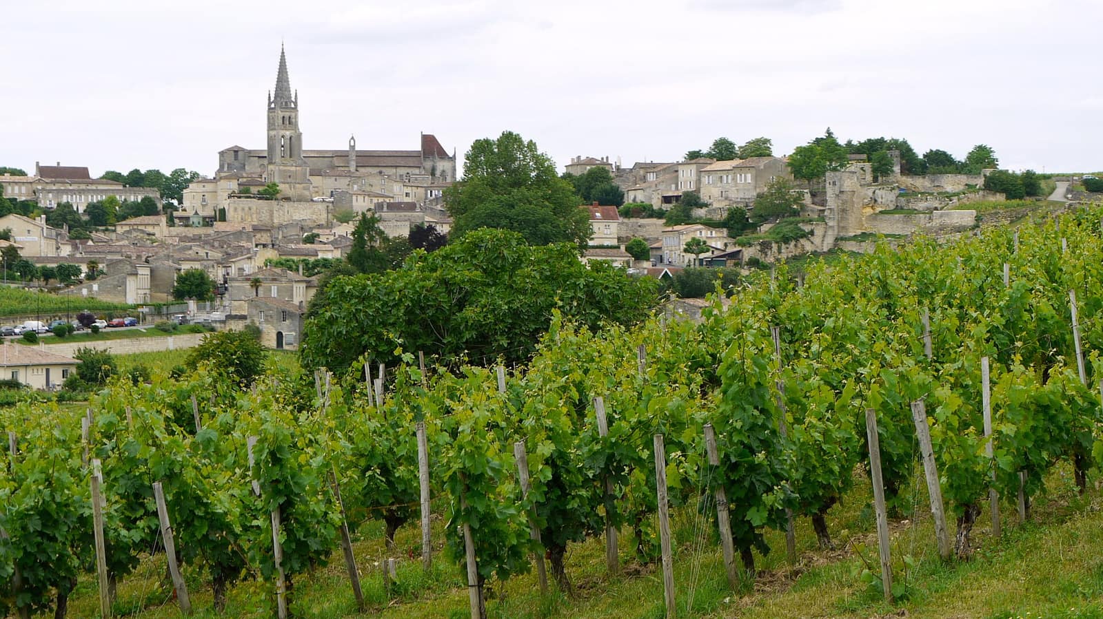 Le village de Saint-Émilion entouré de vignobles