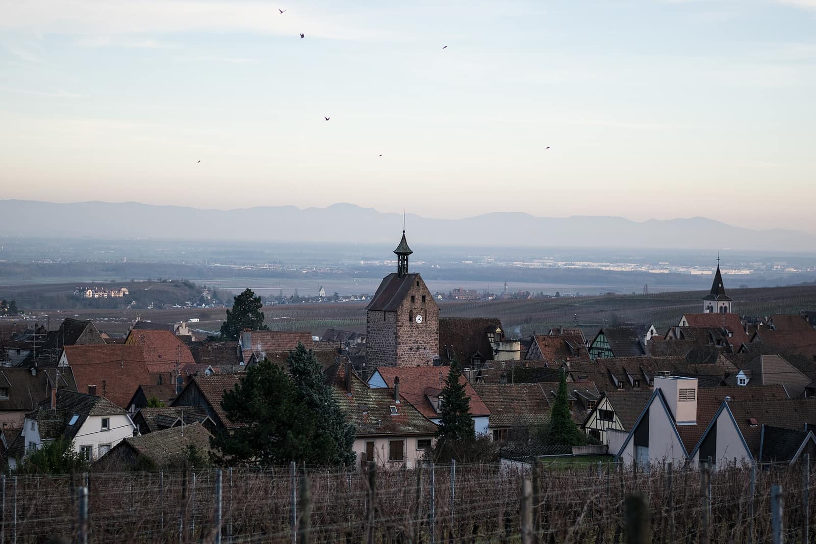 Le village de Riquewihr vu depuis le vignoble