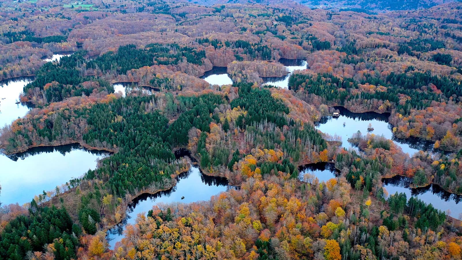 Vue aérienne du plateau des Mille Étangs en automne