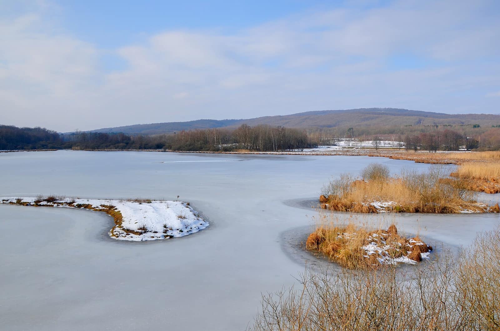 Le lac du Malsaucy vu depuis l'observatoire à oiseaux