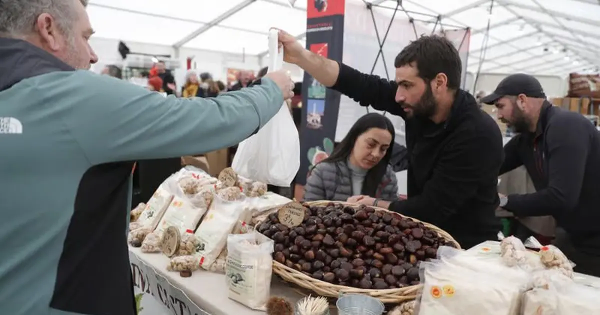 Fiera di a Castagna 2026 - Foire de la Châtaigne de Bocognano