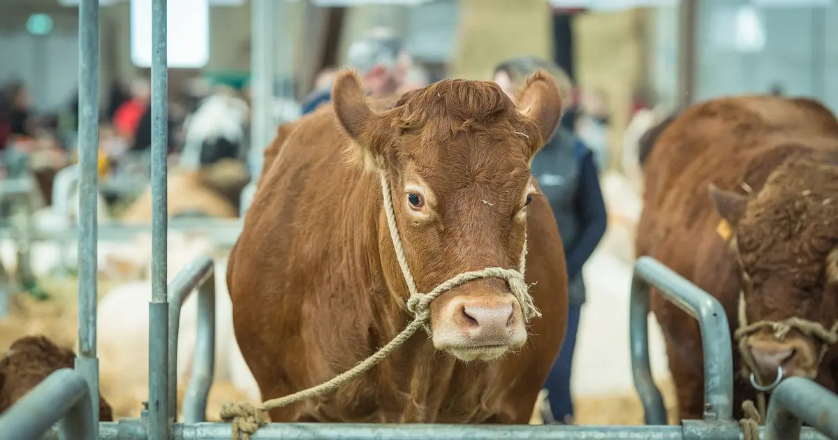 La Ferme s'invite 2026 à Poitiers : le salon régional de l'agriculture au Parc des Expositions